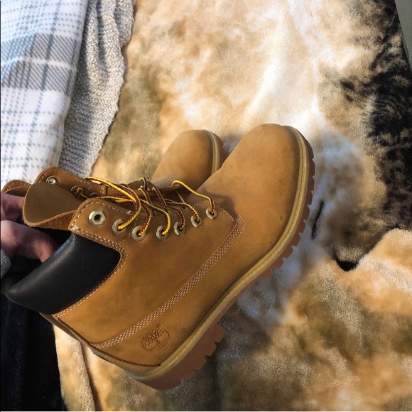 Timberlands - Picture 8 of 8